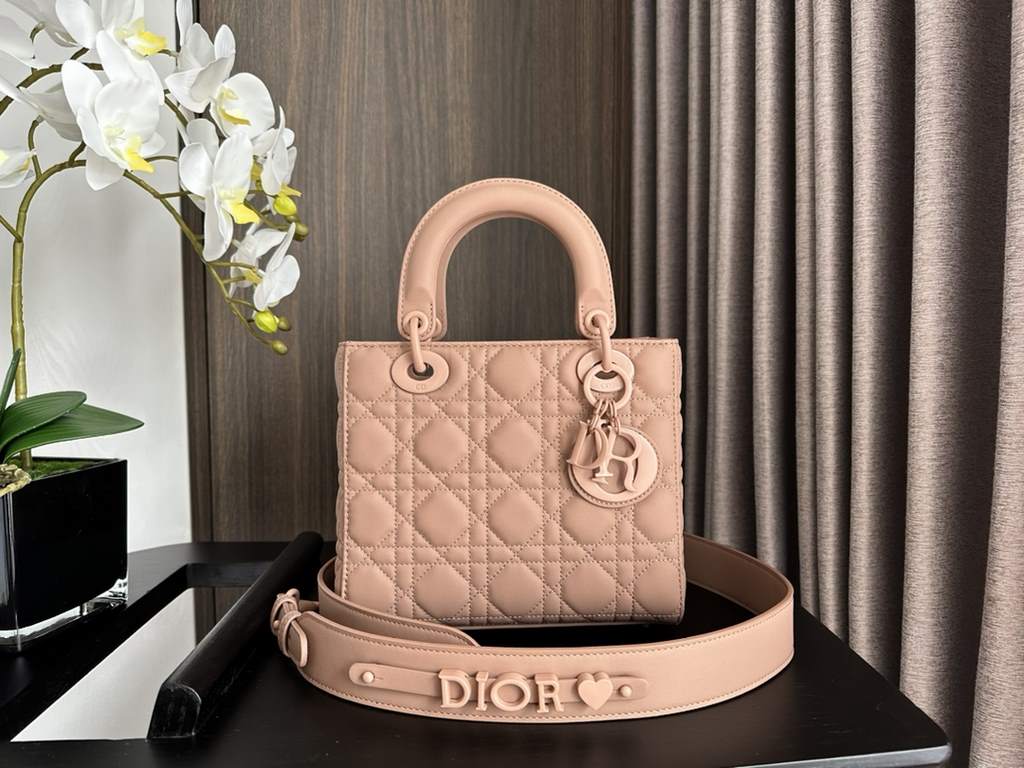 Dior Bag