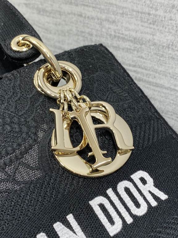 Dior Bag