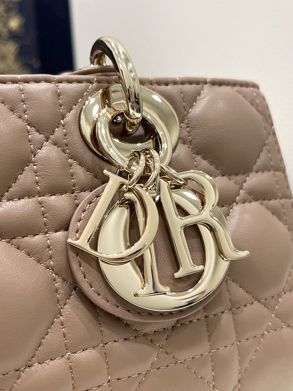 Dior Bag