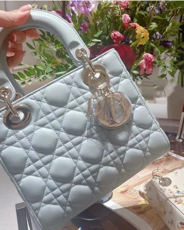 Dior Bag