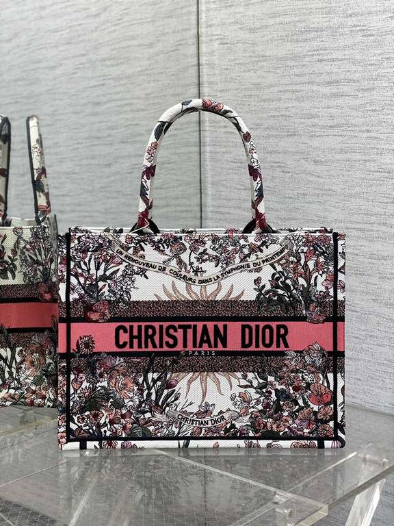 Dior Bag