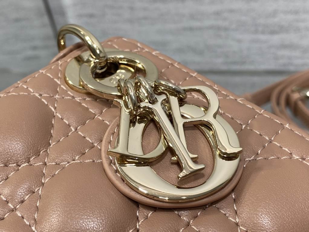 Dior Bag