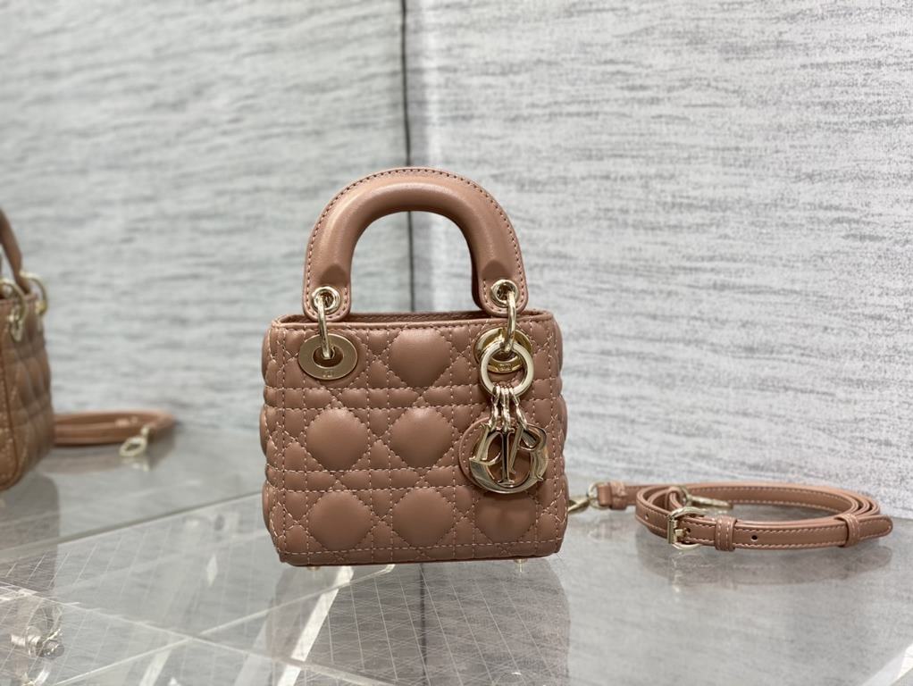 Dior Bag