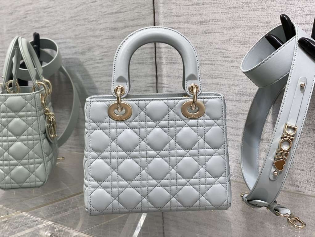 Dior Bag