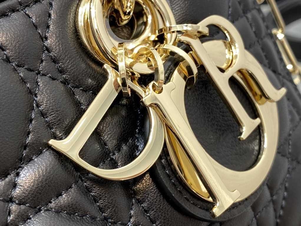 Dior Bag