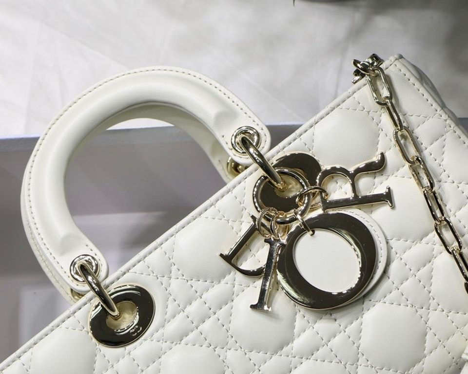 Dior Bag