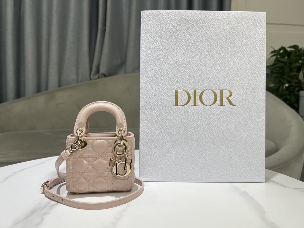 Dior Bag