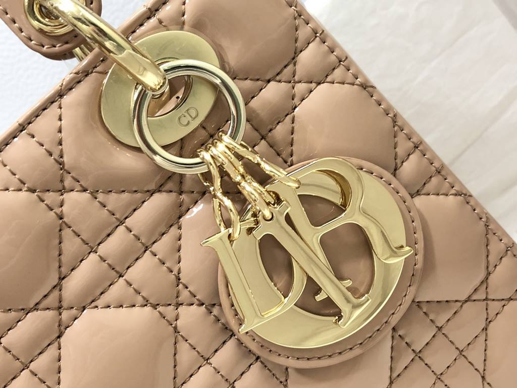 Dior Bag