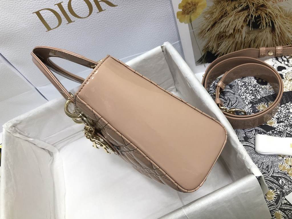 Dior Bag