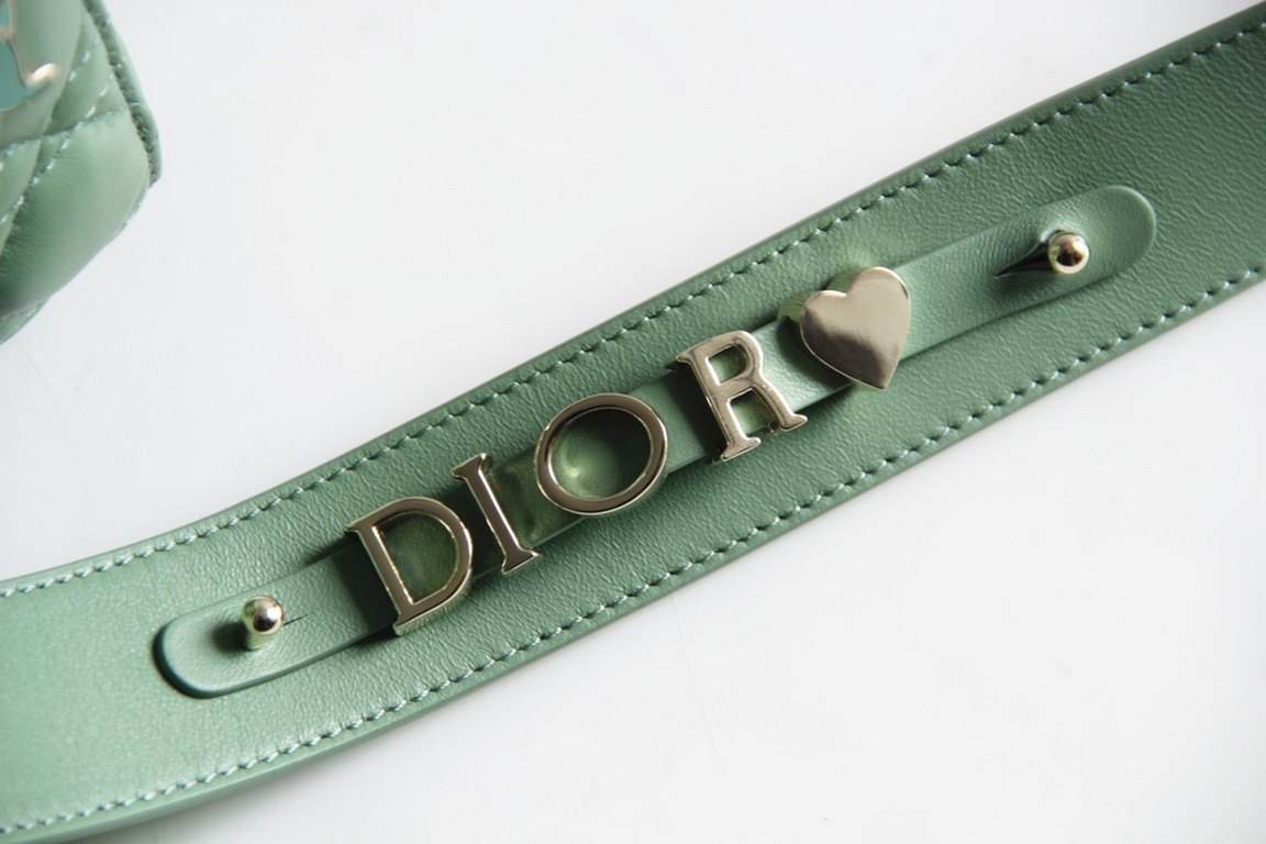 Dior Bag