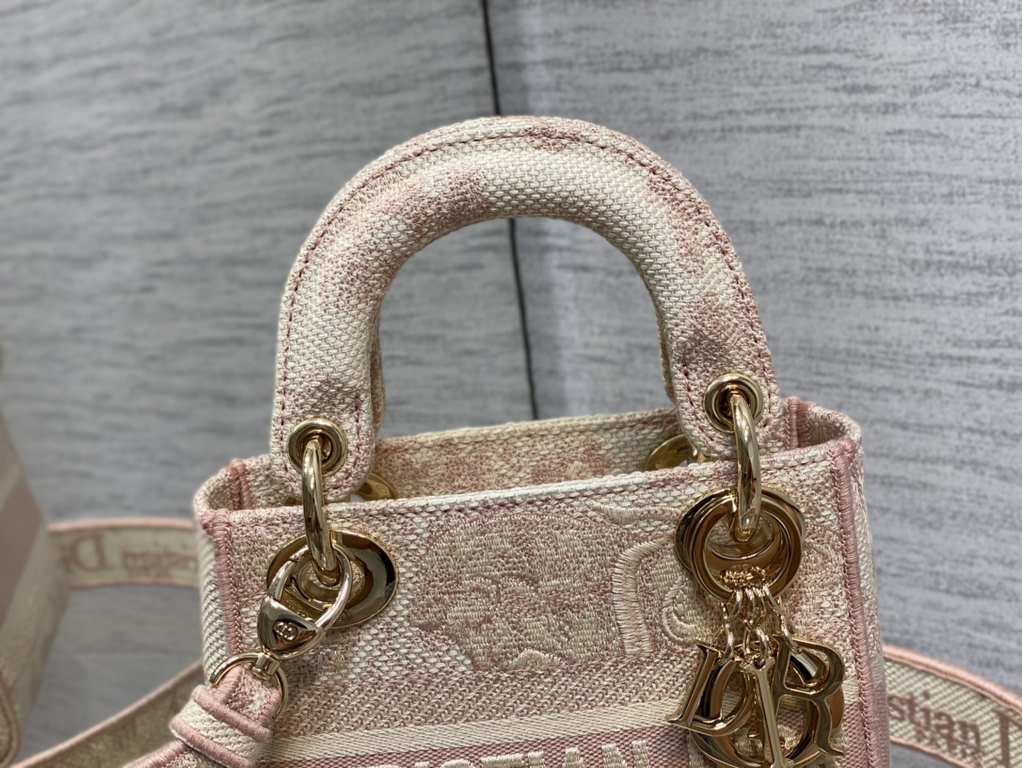 Dior Bag