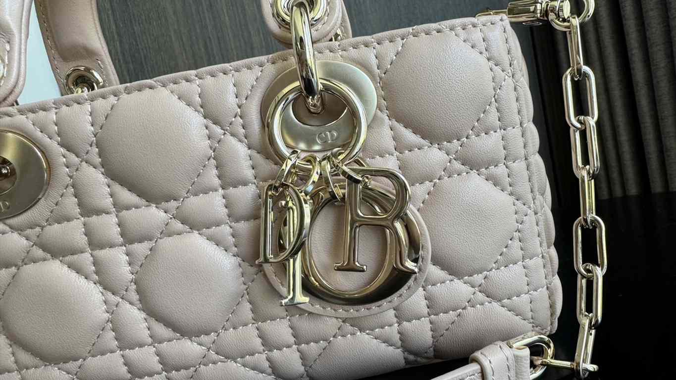 Dior Bag