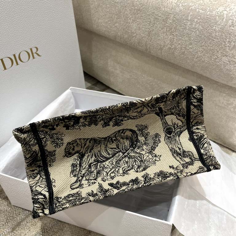 Dior Bag