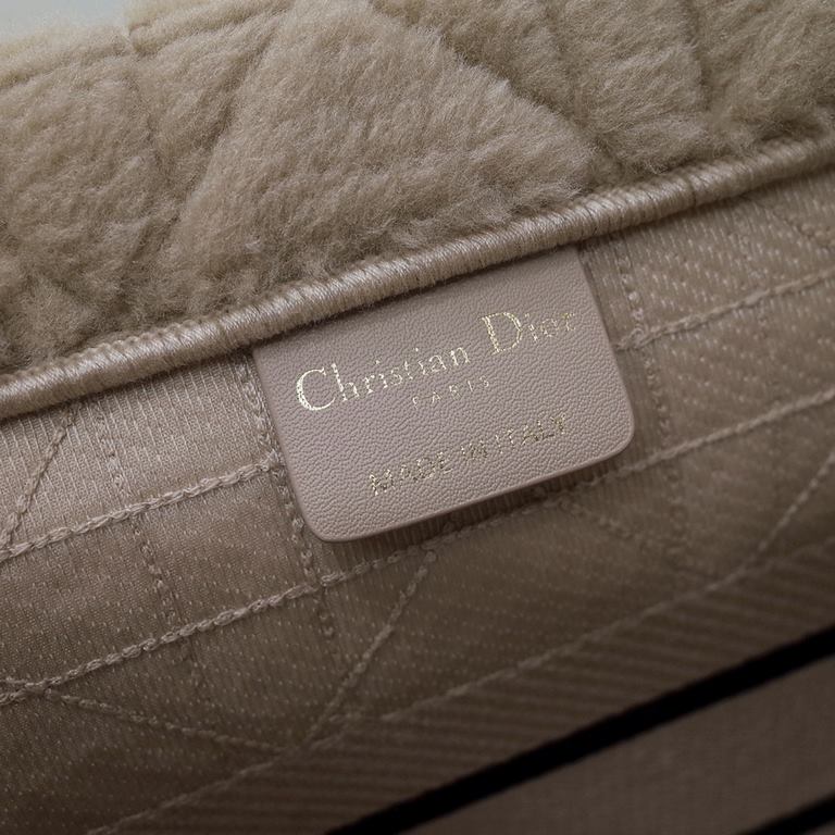 Dior Bag