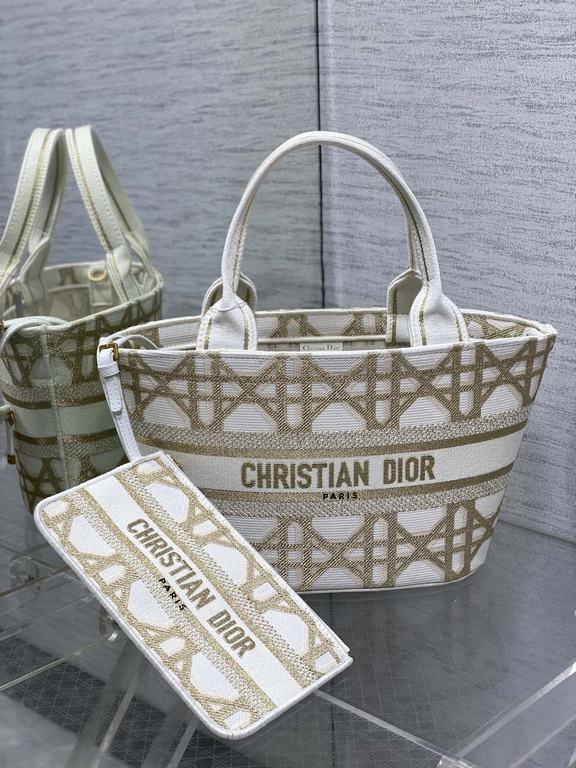 Dior Bag