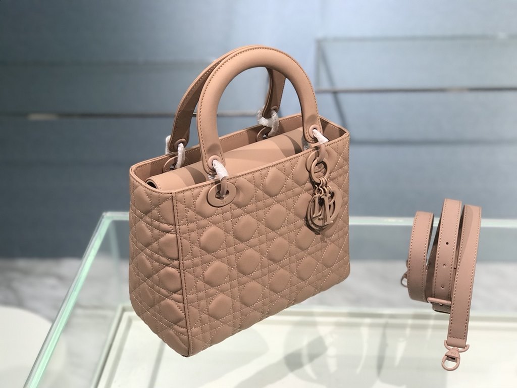 Dior Bag