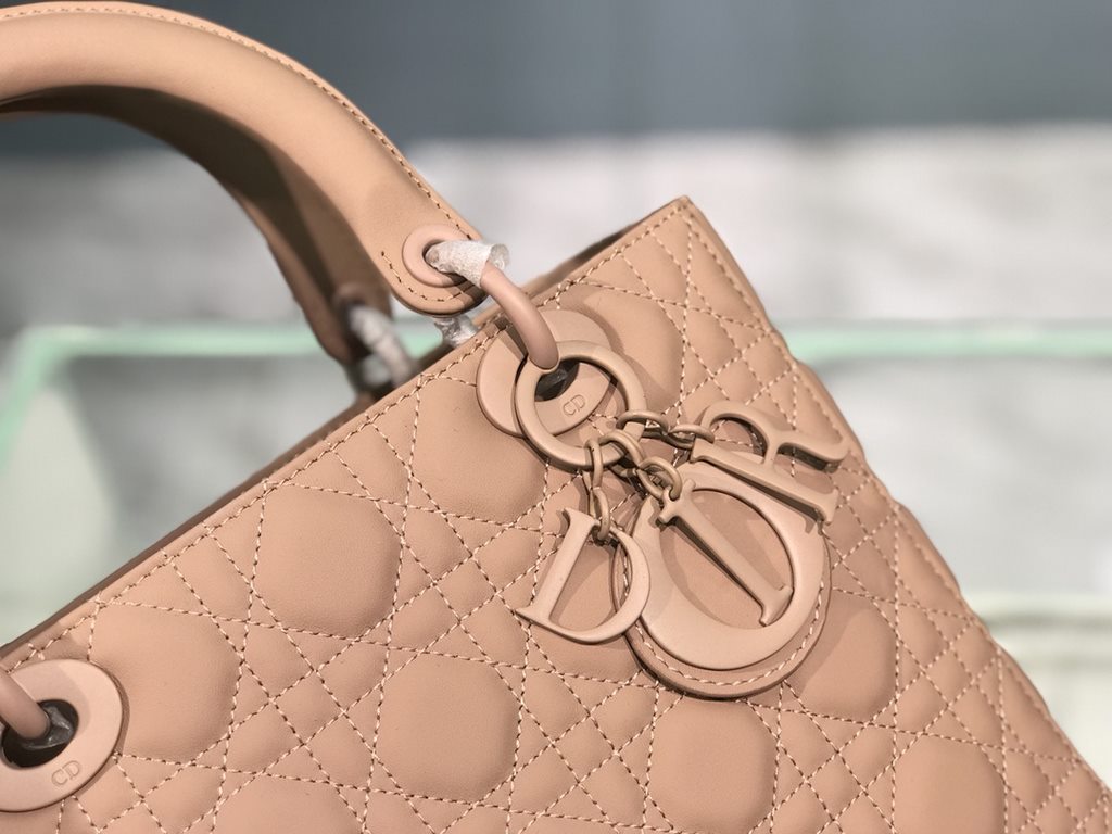 Dior Bag