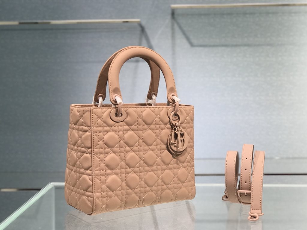 Dior Bag