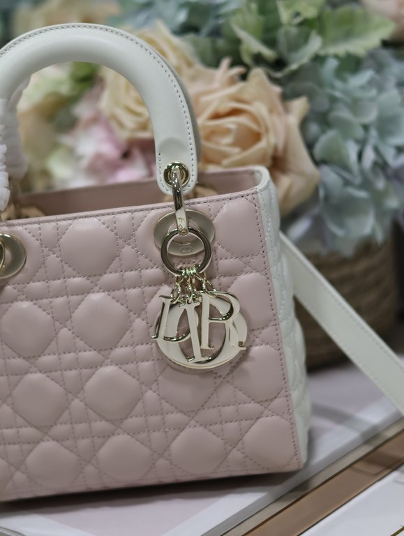 Dior Bag