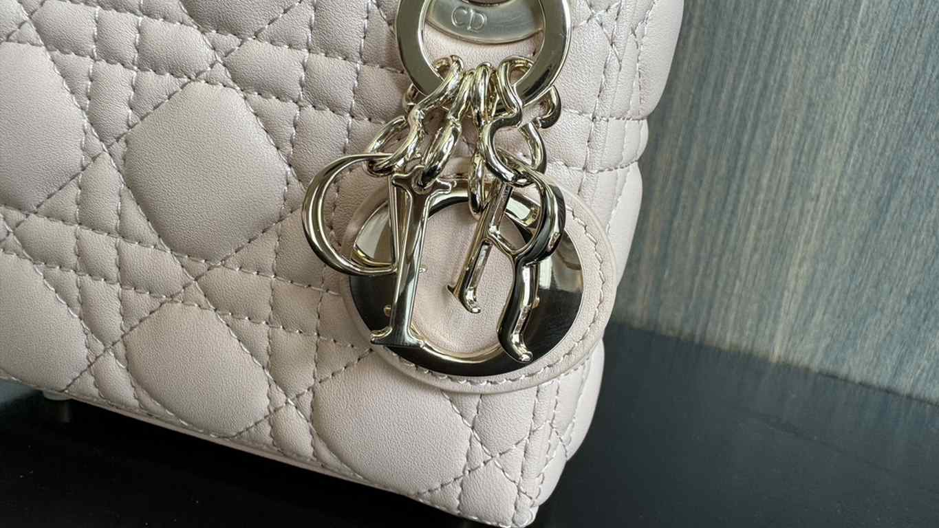 Dior Bag