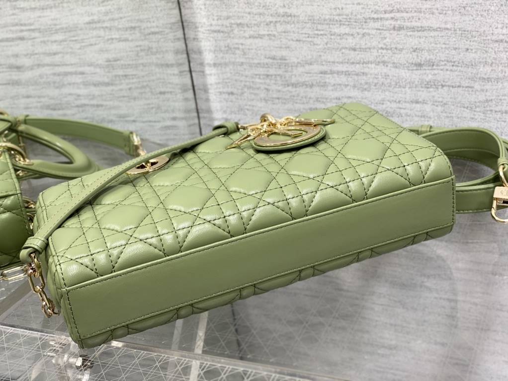 Dior Bag