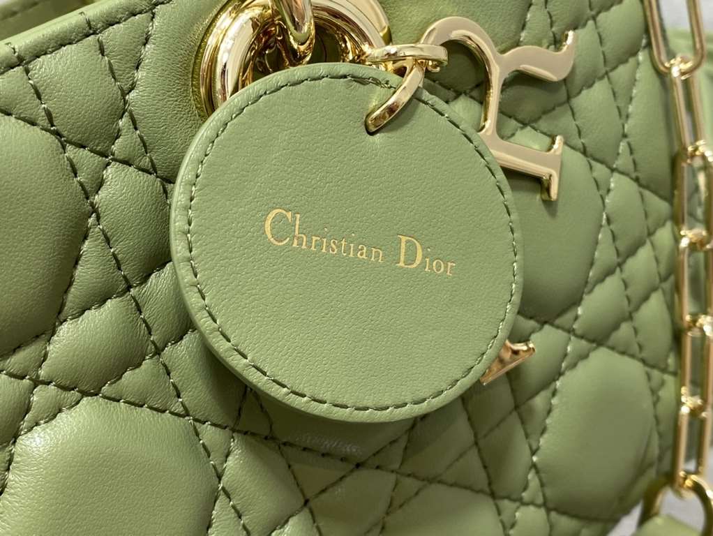 Dior Bag