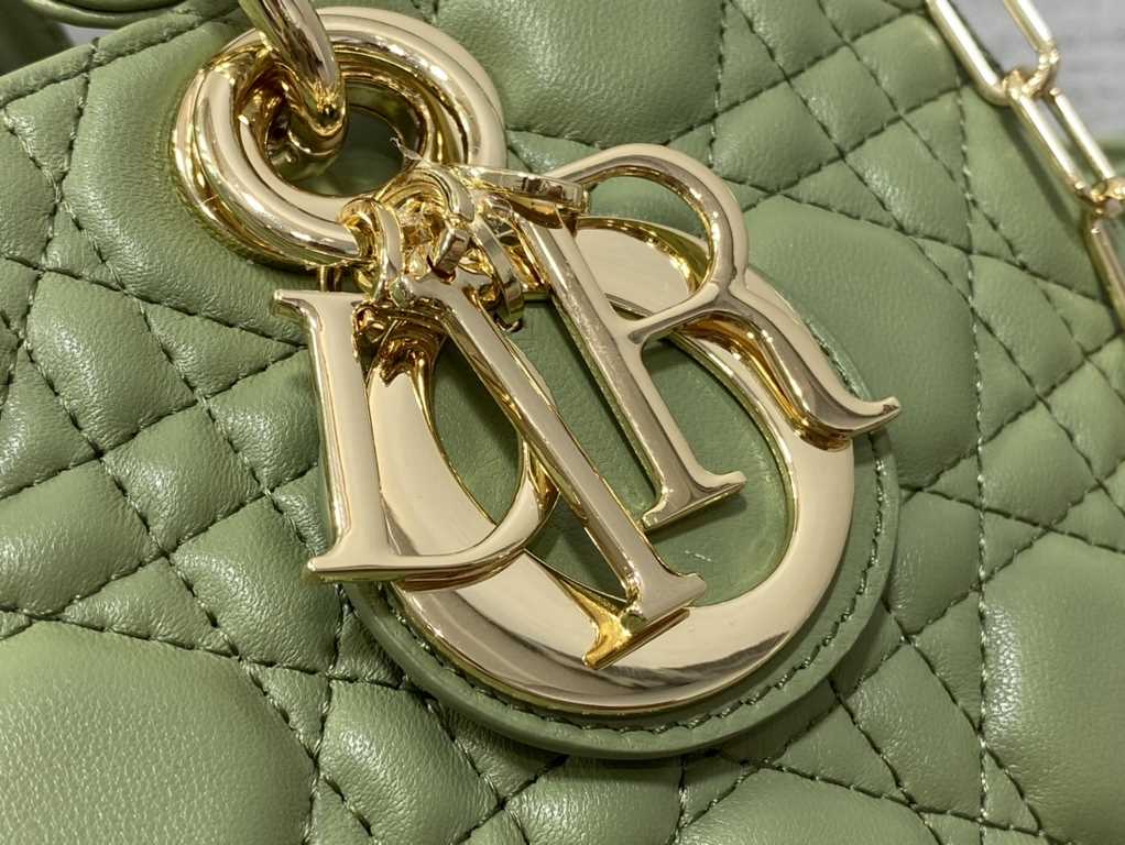 Dior Bag