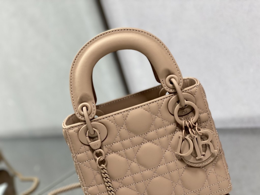 Dior Bag