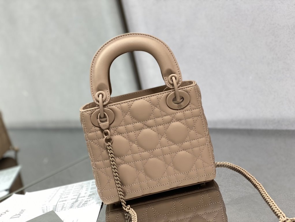 Dior Bag