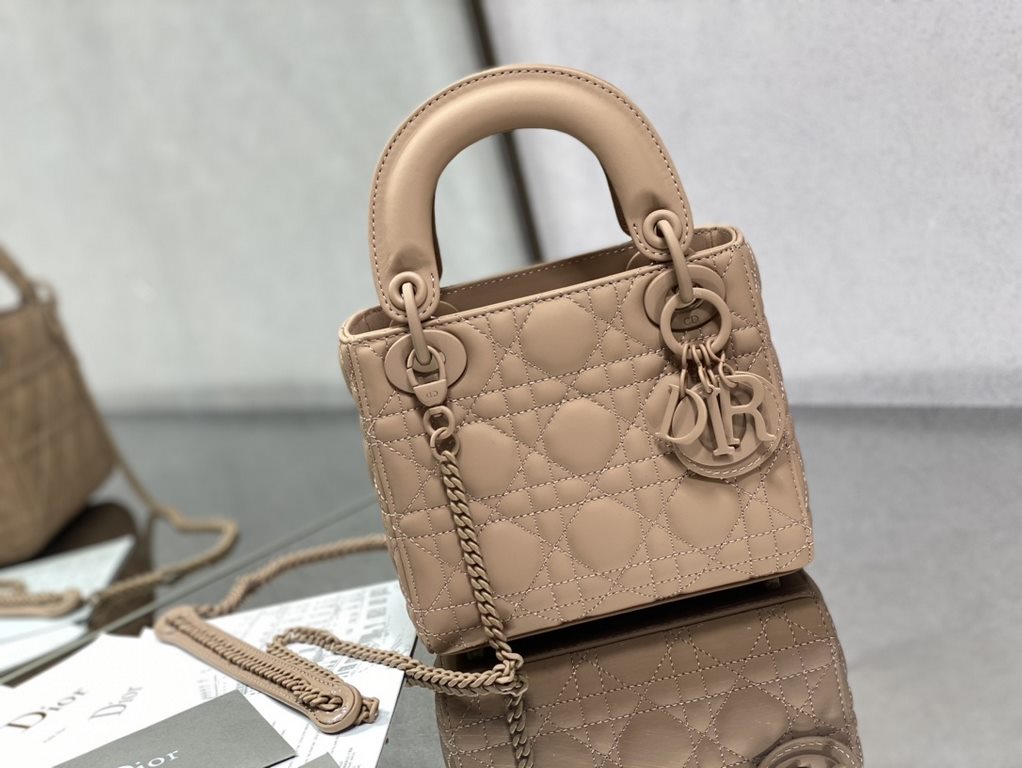 Dior Bag