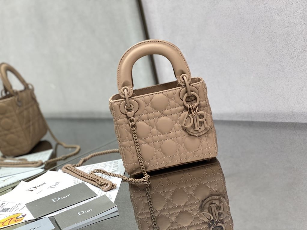 Dior Bag