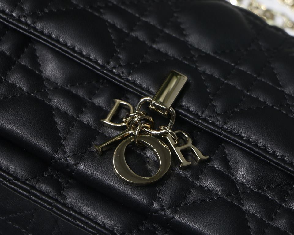 Dior Bag