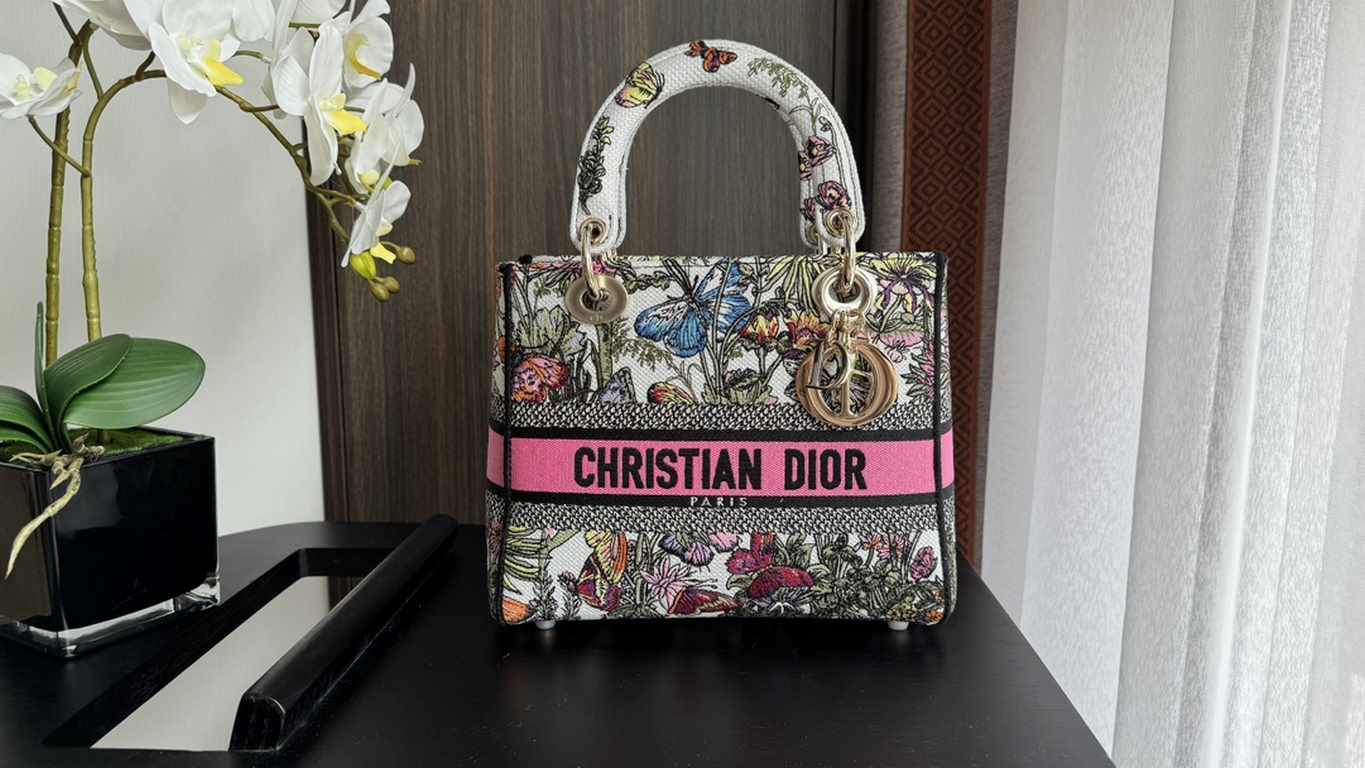 Dior Bag