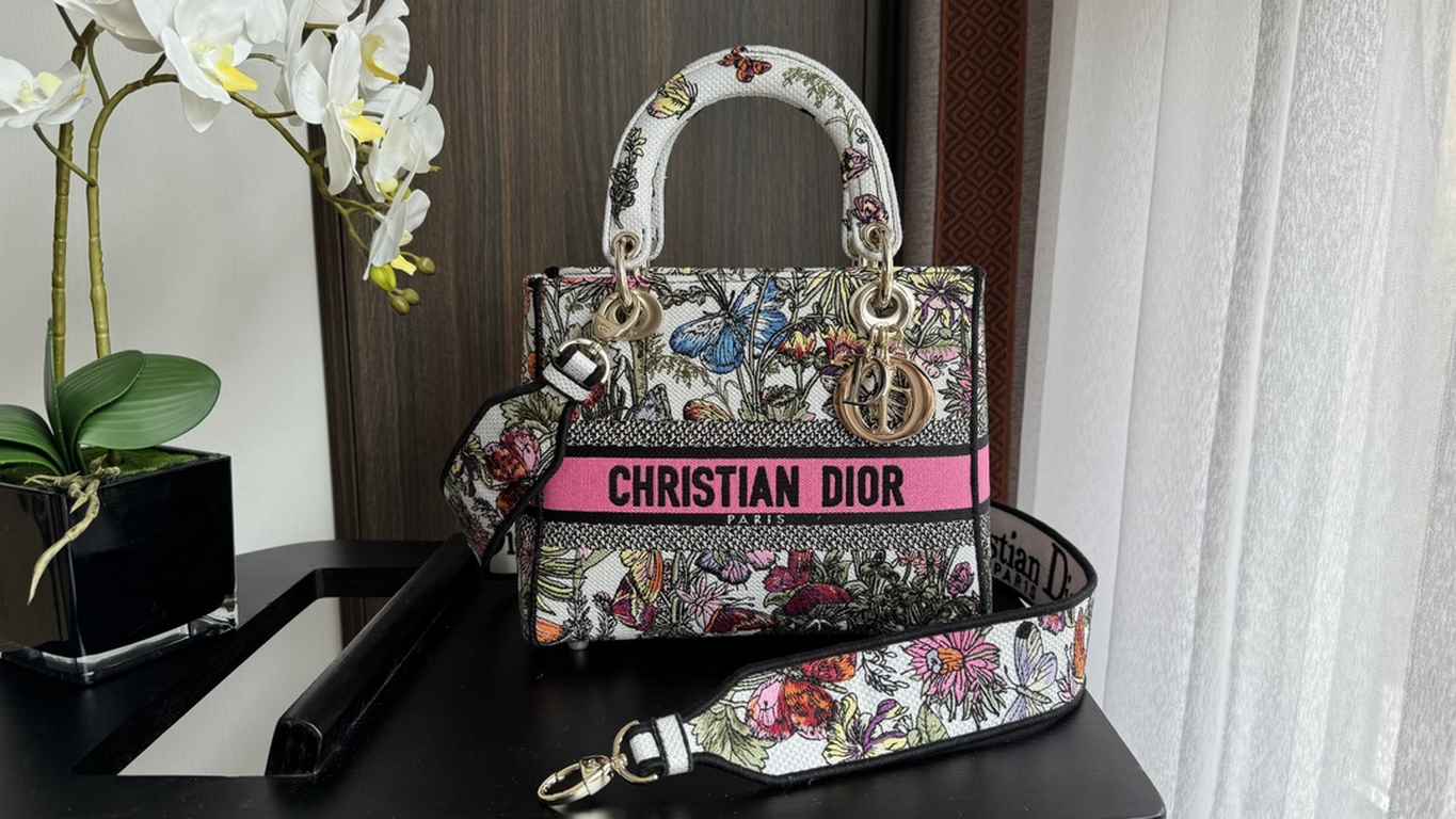 Dior Bag