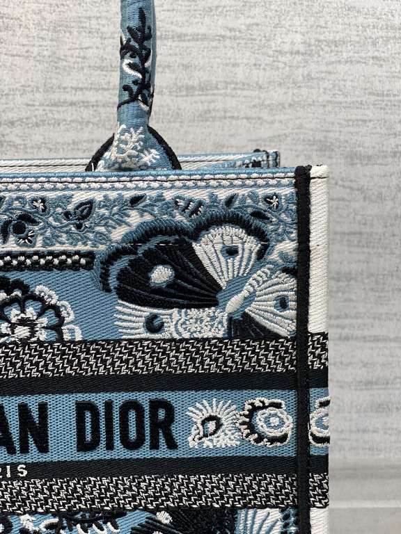 Dior Bag