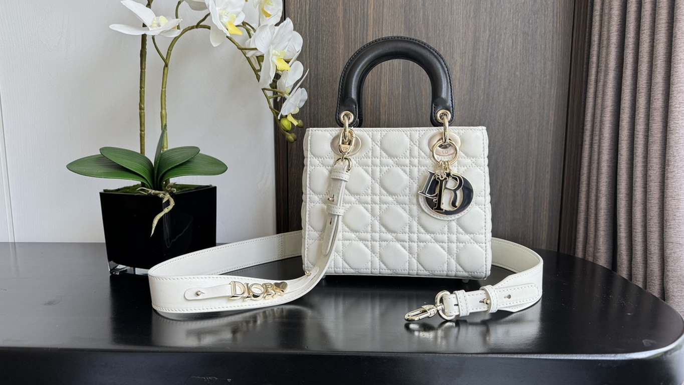 Dior Bag