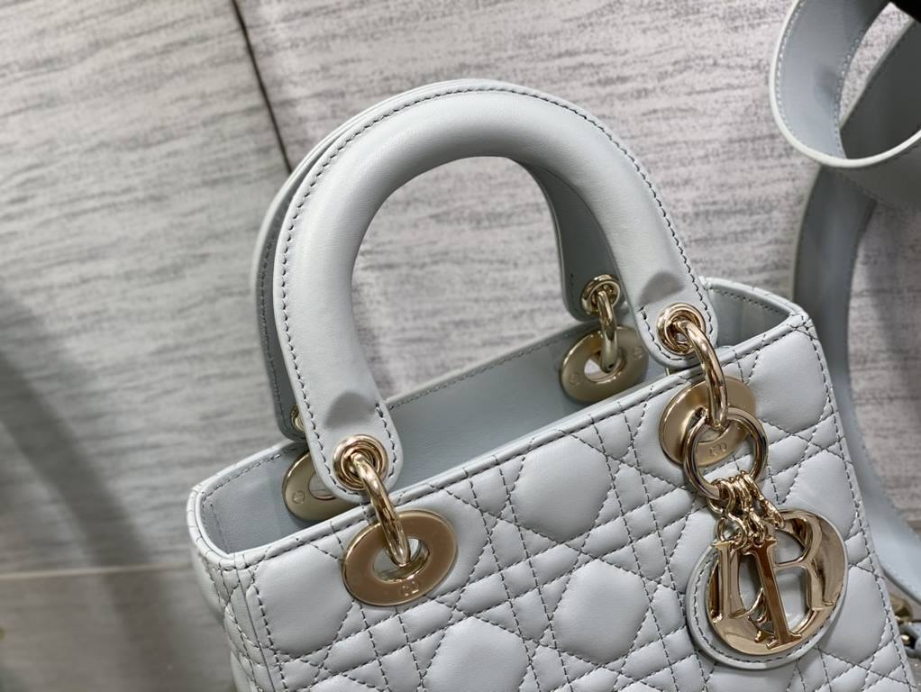 Dior Bag