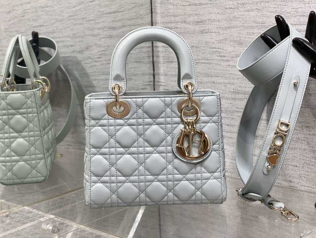 Dior Bag