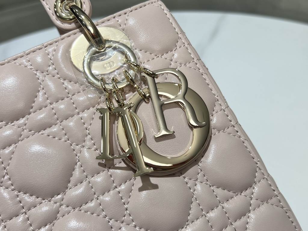 Dior Bag