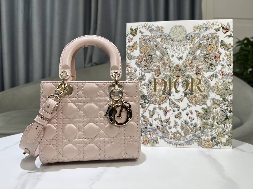 Dior Bag