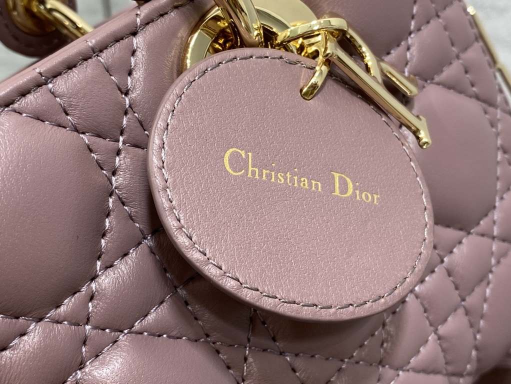 Dior Bag