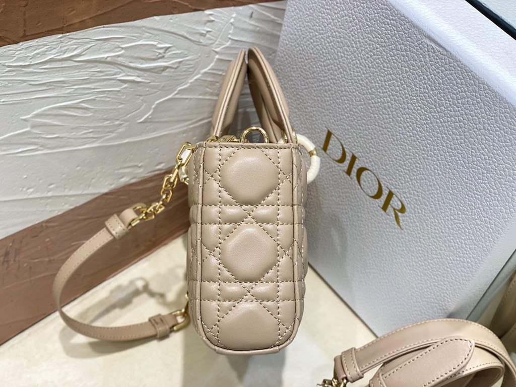 Dior Bag