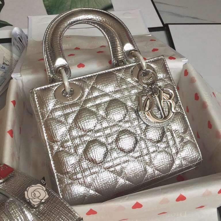 Dior Bag