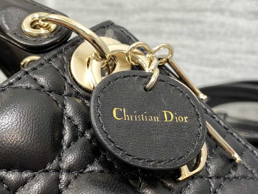 Dior Bag