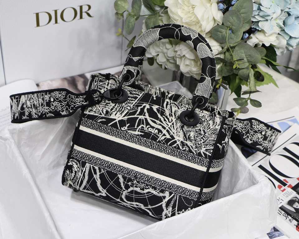 Dior Bag