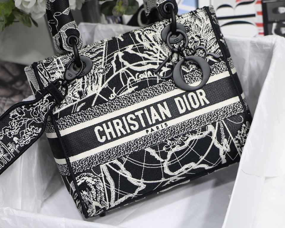 Dior Bag