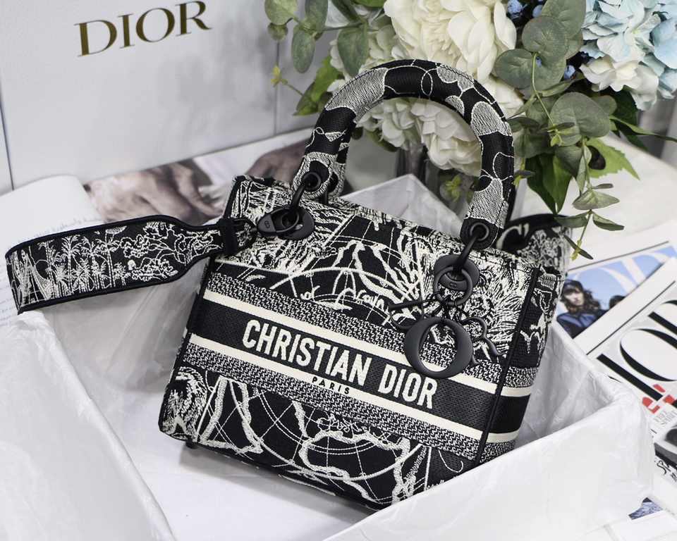 Dior Bag