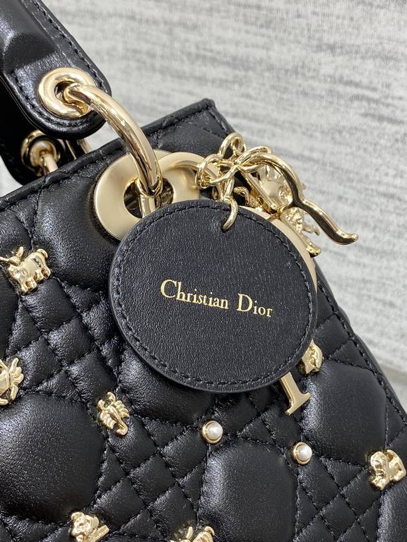 Dior Bag