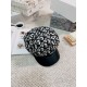 Dior Dior fall and winter new painter's hat, pumpkin octagonal hat, fashion blogger must-have single product head circumference 57cm