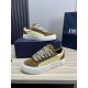 Dior Dior.B33 seriesCouple's casual board shoes qingkv    Original purchaseCrafted from Dior cowhide leather, the side panels are adorned with a canvas panel in the same shade of the CD Diamond pattern.The CD Icon lace e